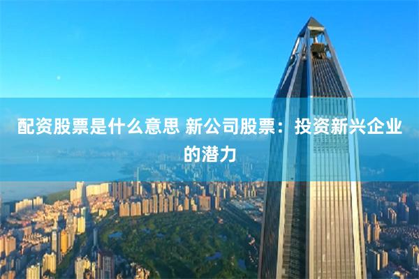 配资股票是什么意思 新公司股票：投资新兴企业的潜力