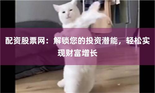 配资股票网：解锁您的投资潜能，轻松实现财富增长