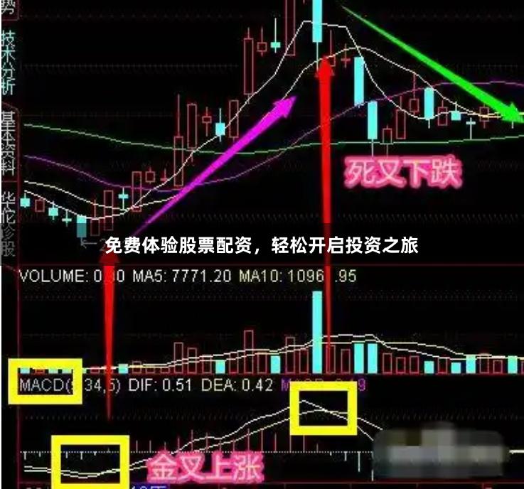 免费体验股票配资，轻松开启投资之旅